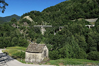 Estate 2025 - Camedo.