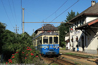 Estate 2025 - Trontano.