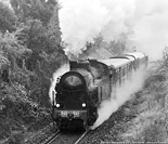 Pioggia autunnale - Valmadrera.