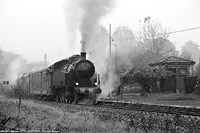 Pioggia autunnale - Moiana.