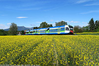 La terra e la ferrovia - Renate-Veduggio.
