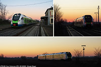 Lomellina oggi - Cava Carbonara.