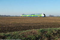 Lomellina oggi - Cava Carbonara.