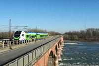 Lomellina oggi - Torreberetti.