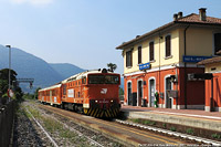 Estate 2024 - I colori nuovi - Sale Marasino.