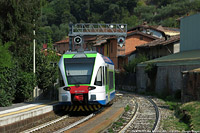 Estate 2024 - I colori nuovi - Marone.
