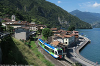 Estate 2024 - I colori nuovi - Toline.