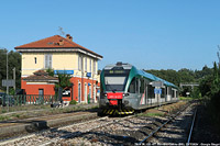 Estate 2024 - I colori nuovi - Bornato-Calino.