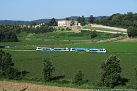 Estate 2024 - I colori nuovi - Bornato.