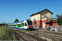 Estate 2024 - I colori nuovi - Borgonato-Adro.