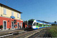 Estate 2024 - I colori nuovi - Borgonato-Adro.