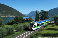 Estate 2024 - I colori nuovi - Sulzano.
