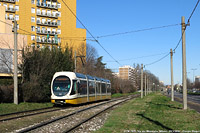 Tram a Milano 2024 - Via dei Missaglia.