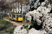Tram a Milano 2024 - V.le Vittorio Veneto.