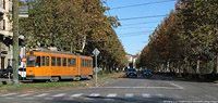Arancio quasi invernale - C.so Cairoli.