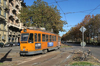 Arancio quasi invernale - C.so Cairoli.