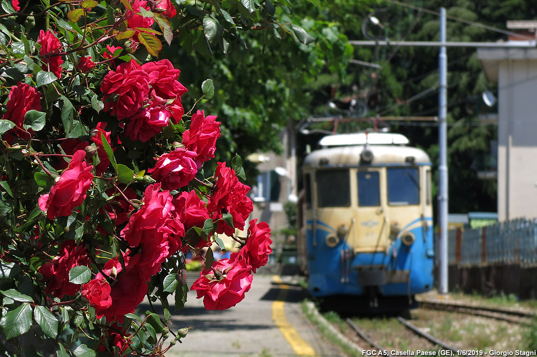 La A5 ex Spoleto-Norcia - Casella Paese.