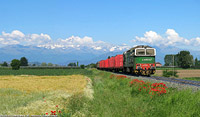 Ritorno a Saluzzo! - Savigliano.
