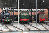 Museo Ferroviario Piemontese - 895, D.461, E.431.