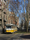 Tram e filobus - Via Pascoli.