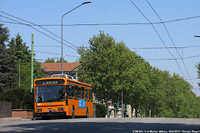 Milano - V.le Molise.