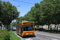 Primo maggio a Milano - Viale Molise.