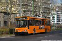 Tram e filobus - V.le Molise.
