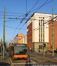 Tram e filobus - Viale Stelvio.