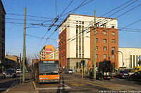 Tram e filobus - Viale Stelvio.