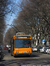 Tram e filobus - Via Ponzio.