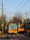 Milano - V.le Stelvio.