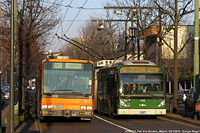 Milano - V.le Stelvio.