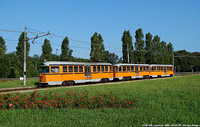 2017-18: il tram  tornato - Limbiate.