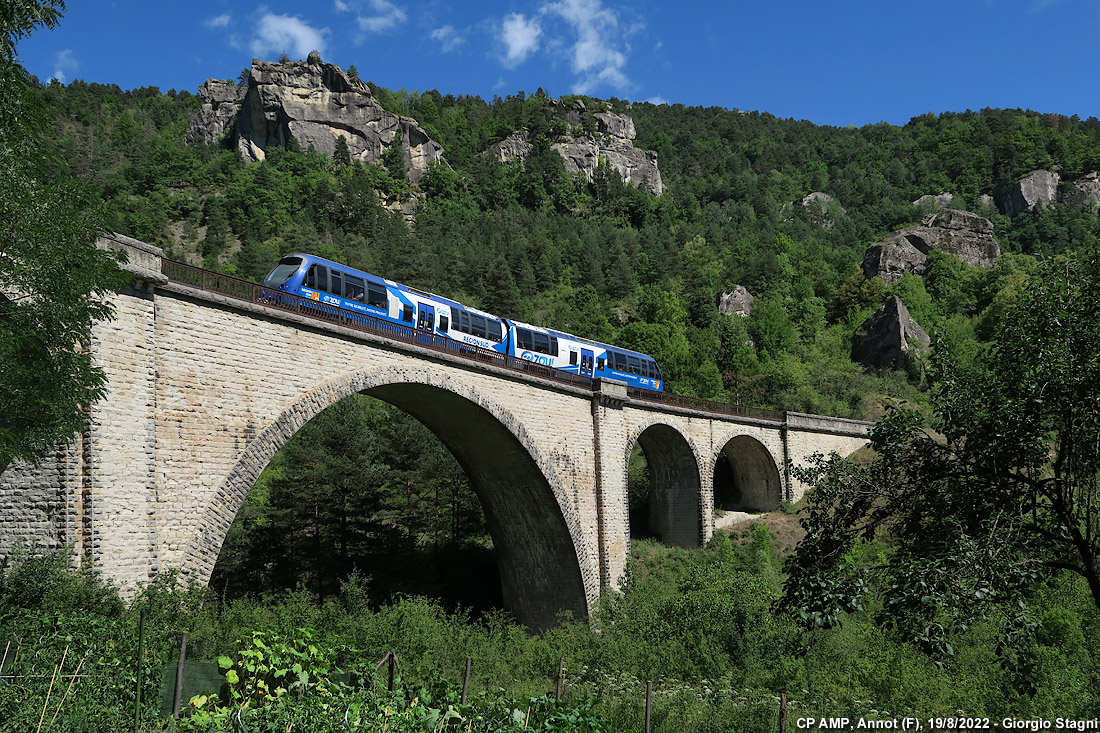 Gli AMP blu - Annot.