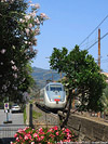 Estate 2022 - Laigueglia.