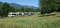 Vigezzo a luglio - Orcesco-Gagnone.