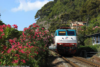 Estate 2012 - Di alba e di Intercity - Alassio.