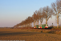 Ferrovia Parma-Suzzara - Lentigione.