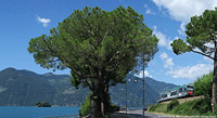 Lago d'Iseo 2023 - Marone.