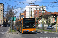 Verso la primavera - P.za Appio Claudio.