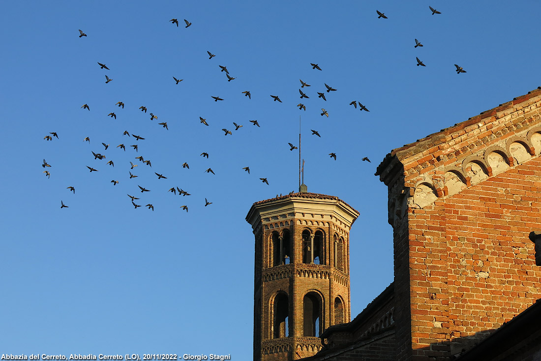 Basiliche e abbazie - Abbazia del Cerreto.