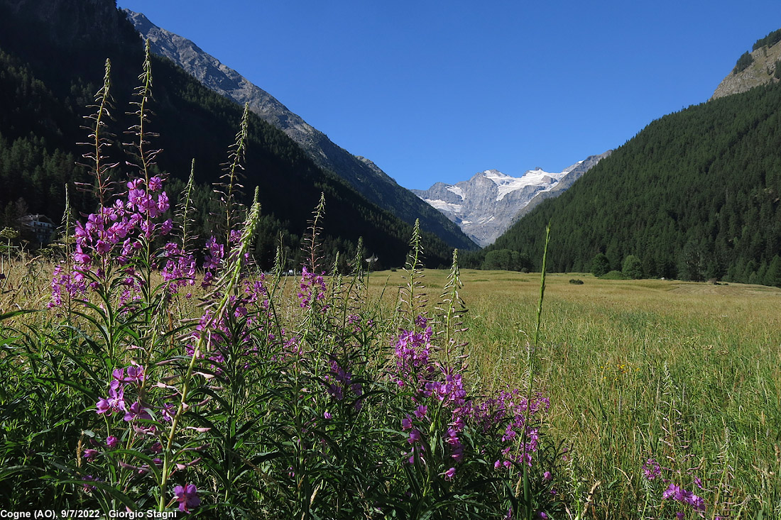 Cogne e Valnontey - Cogne.