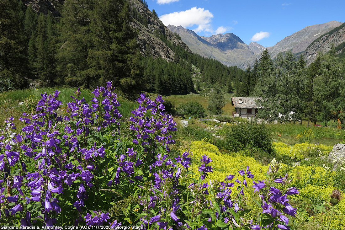 Cogne e Valnontey - Valnontey.