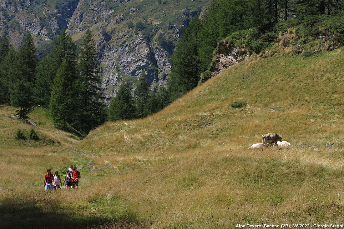 Ossola d'estate - Alpe Devero.