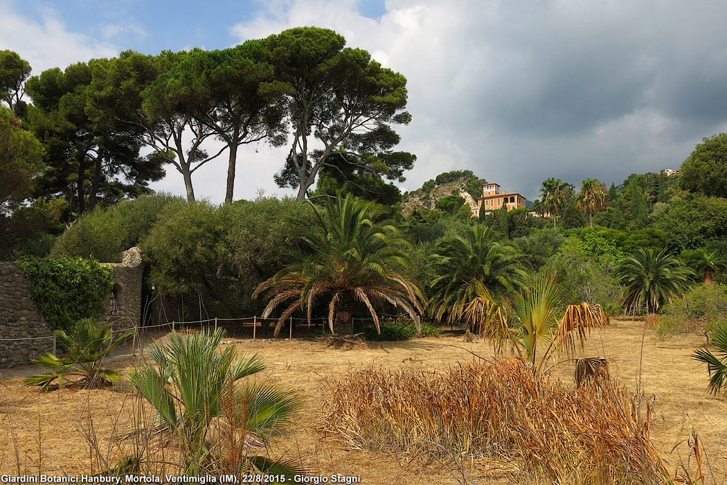 Altre ville liguri - Villa Hanbury.