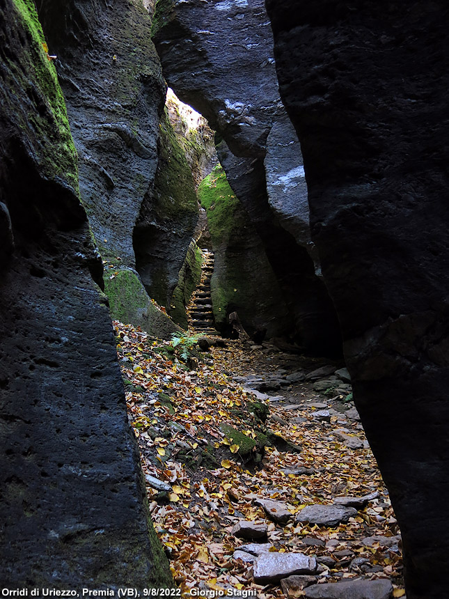 Ossola d'estate - Orridi di Uriezzo.