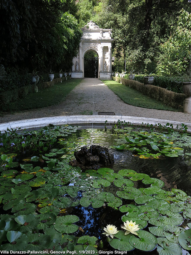 Villa Durazzo-Pallavicini - Viale Classico.