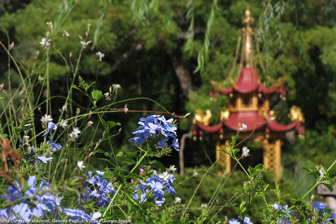 Villa Durazzo-Pallavicini - Pagoda.