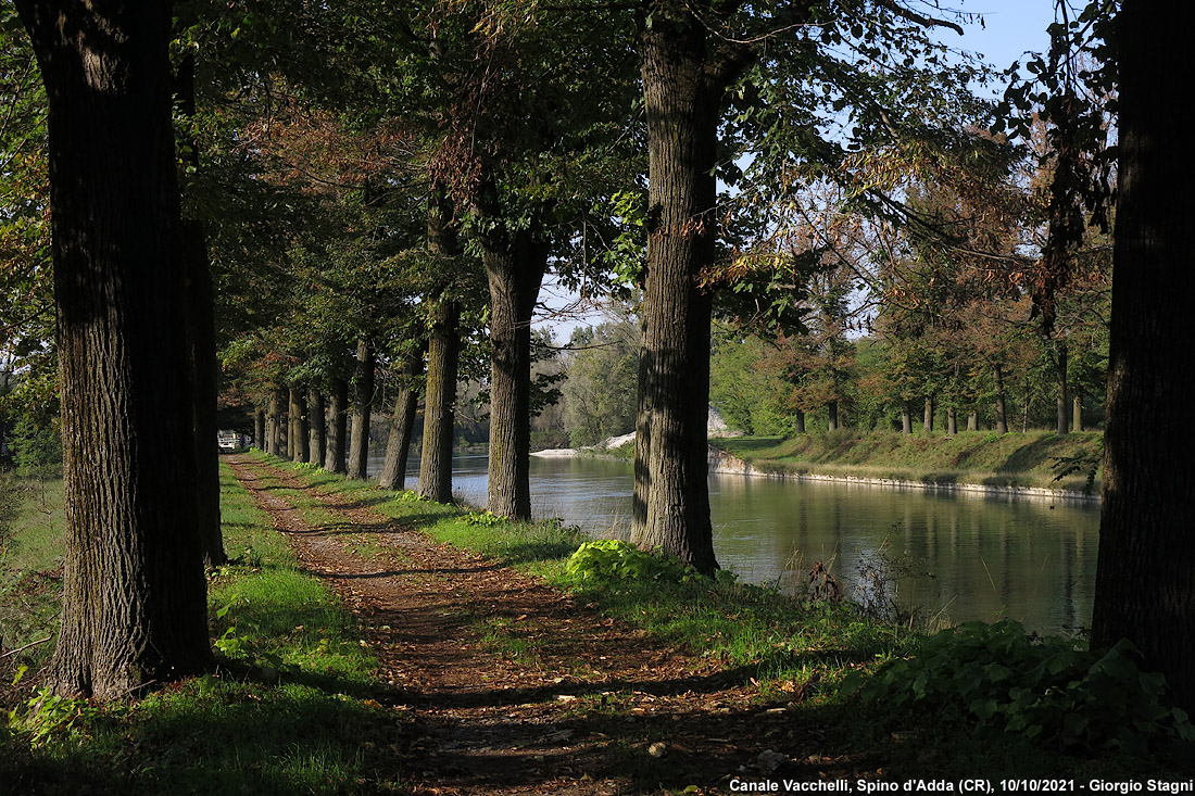 La campagna lodigiana - Canale Vacchelli.