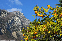 Benaco 2021 - Gargnano.